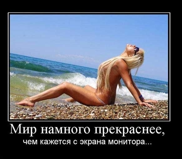 Прикольные и смешные демотиваторы для поднятия настроения на весь день