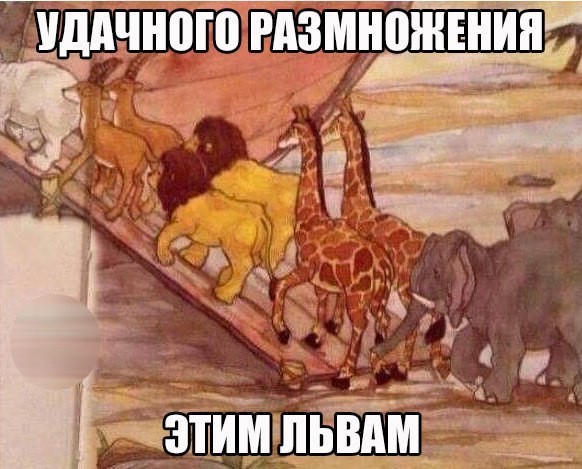 Смешные картинки с надписями прикол, юмор