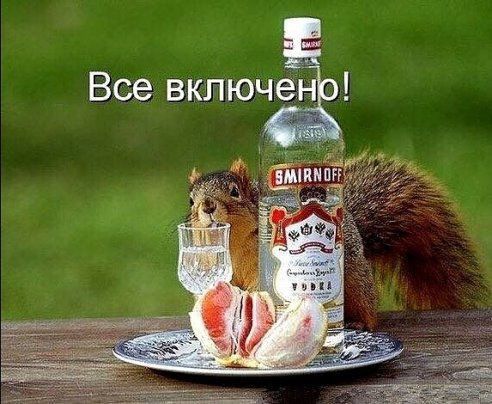 Яркие шутки и анекдоты для теплого настроения 