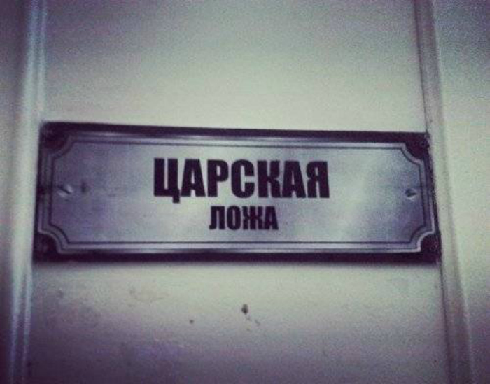 Краски жизни: 17 курьезных ситуаций, которые заставят улыбнуться