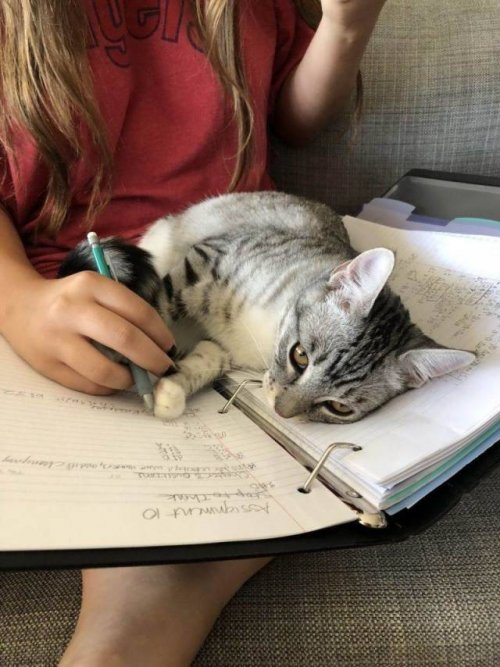 Новые прикольные картинки и фото Новые прикольные картинки и фото