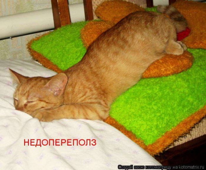 Мысли вслух :)
