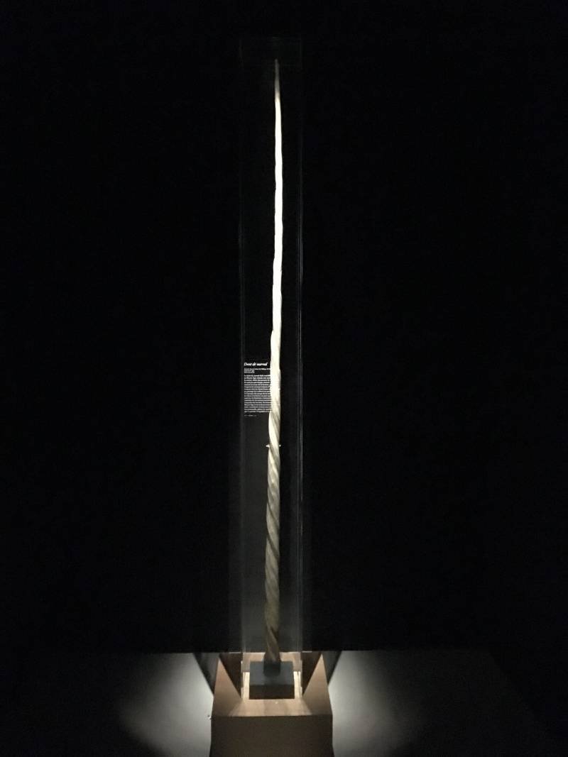 Музей Клюни: гобелены «Дама с единорогом» история