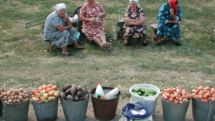 Стыдно просто. Это позор для нас: Большая афера чиновников с МРОТ в России