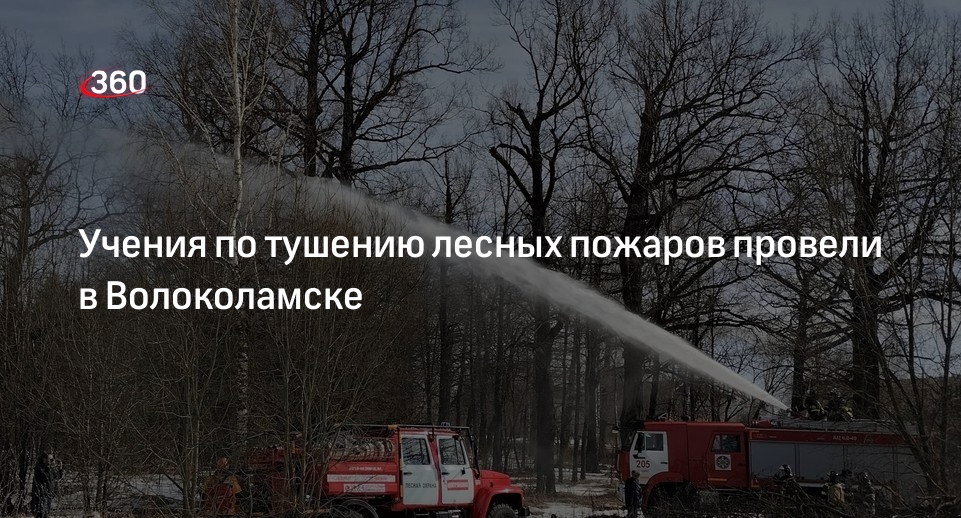Учения по тушению лесных пожаров провели в Волоколамске