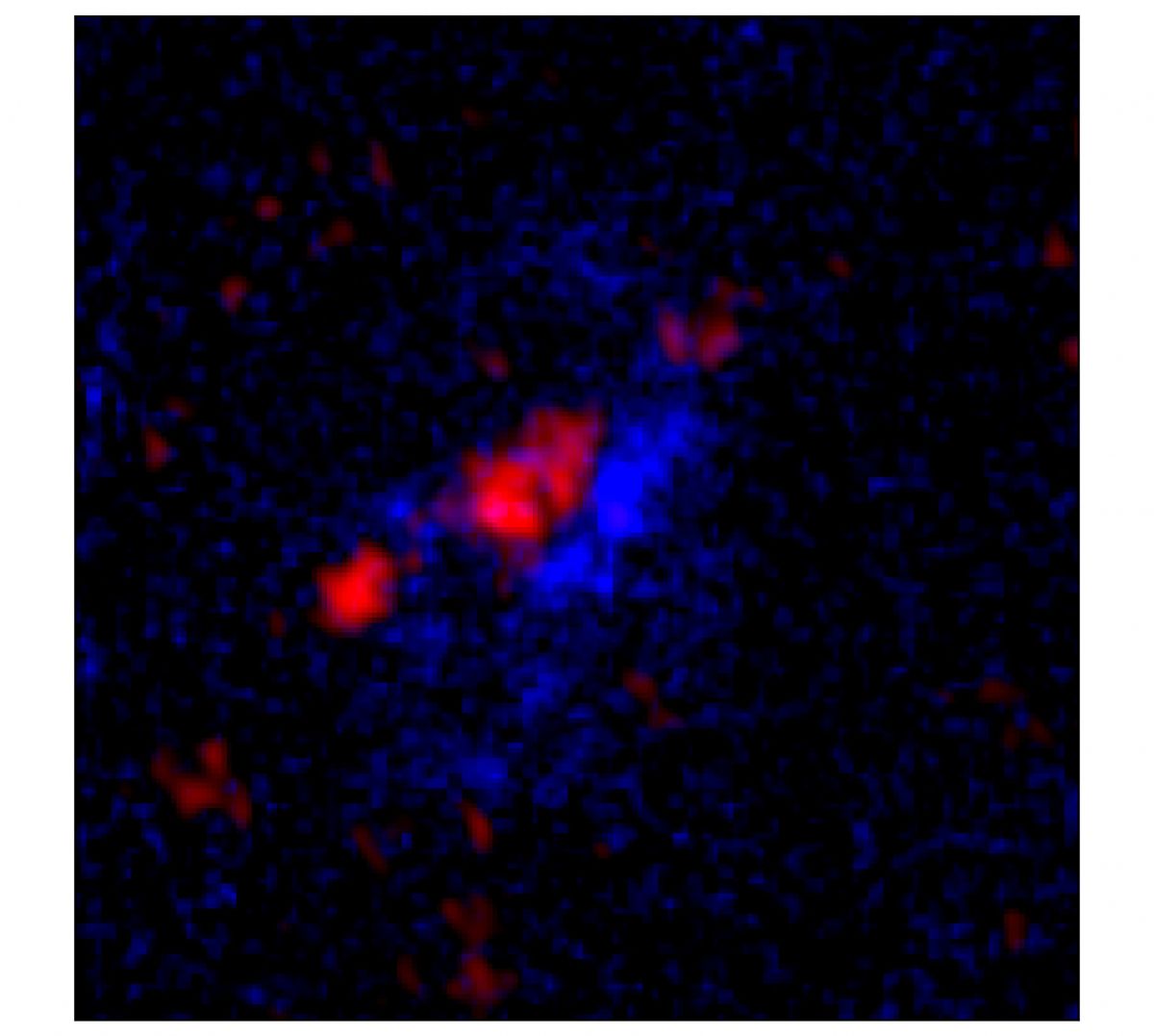 На композитном изображении пылевой звездообразующей галактики DSFG850.95 видны молодные звезды (окрашены в синий) и пыль (окрашена в красный) / © Patrick Drew (UT Austin)/STScI/ALMA