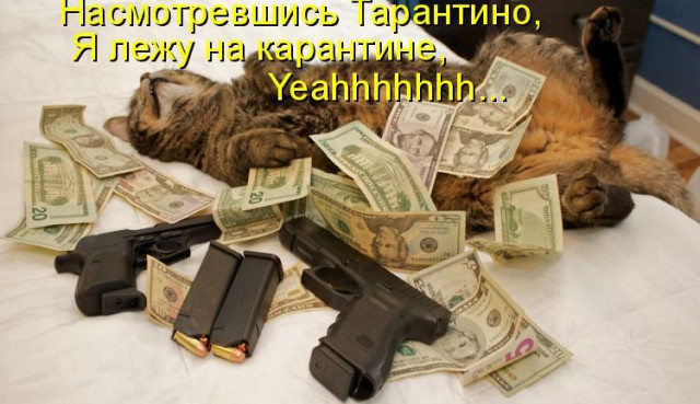 1586540392_kotomatrica-10 (640x369, 174Kb)