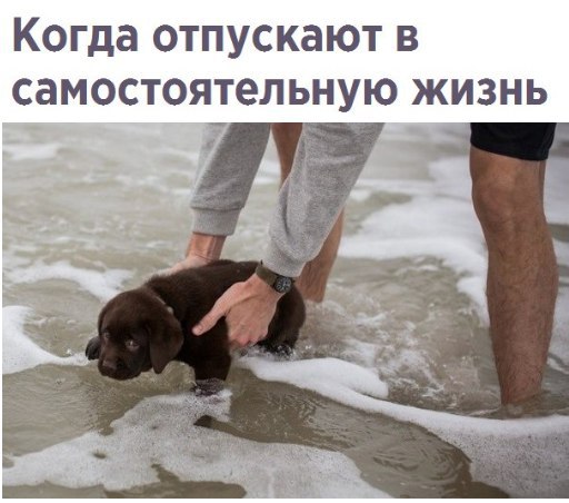 Позитивные и жизненные картинки с надписями со смыслом (12 фото)