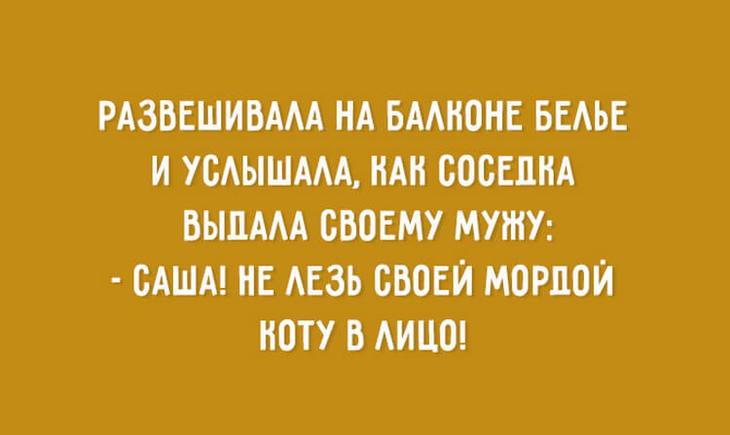 20 остроумных фраз о том, какими на самом деле выглядят отношения 20 остроумных фраз о том, какими на самом деле выглядят отношения