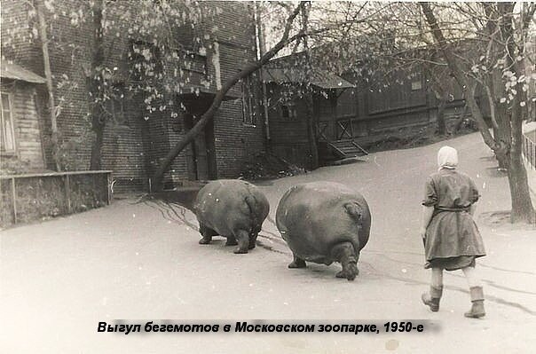 В памяти нашей  Советский Союз!