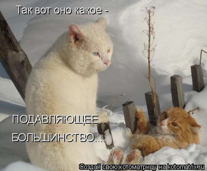 Мысли вслух :)
