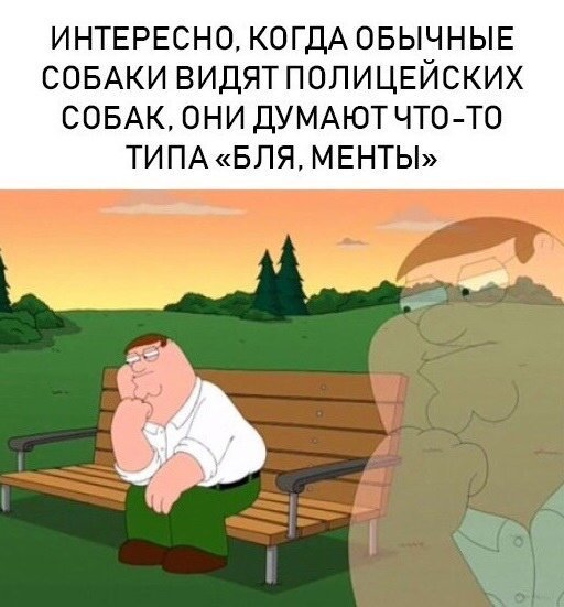 Комментарии и картинки из соцсетей