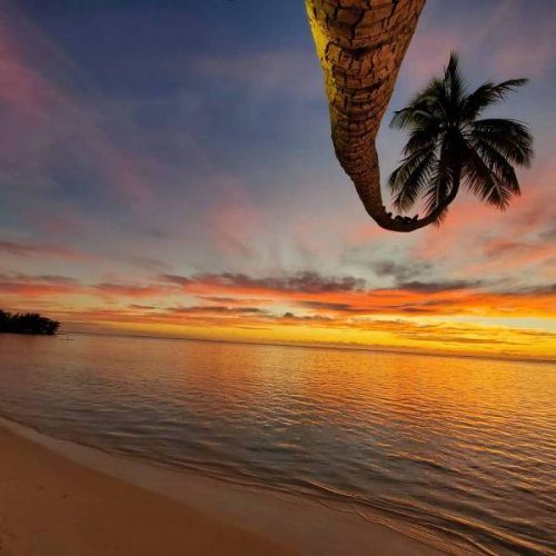 Позитивные эмоции и настроение Позитивные эмоции и настроение