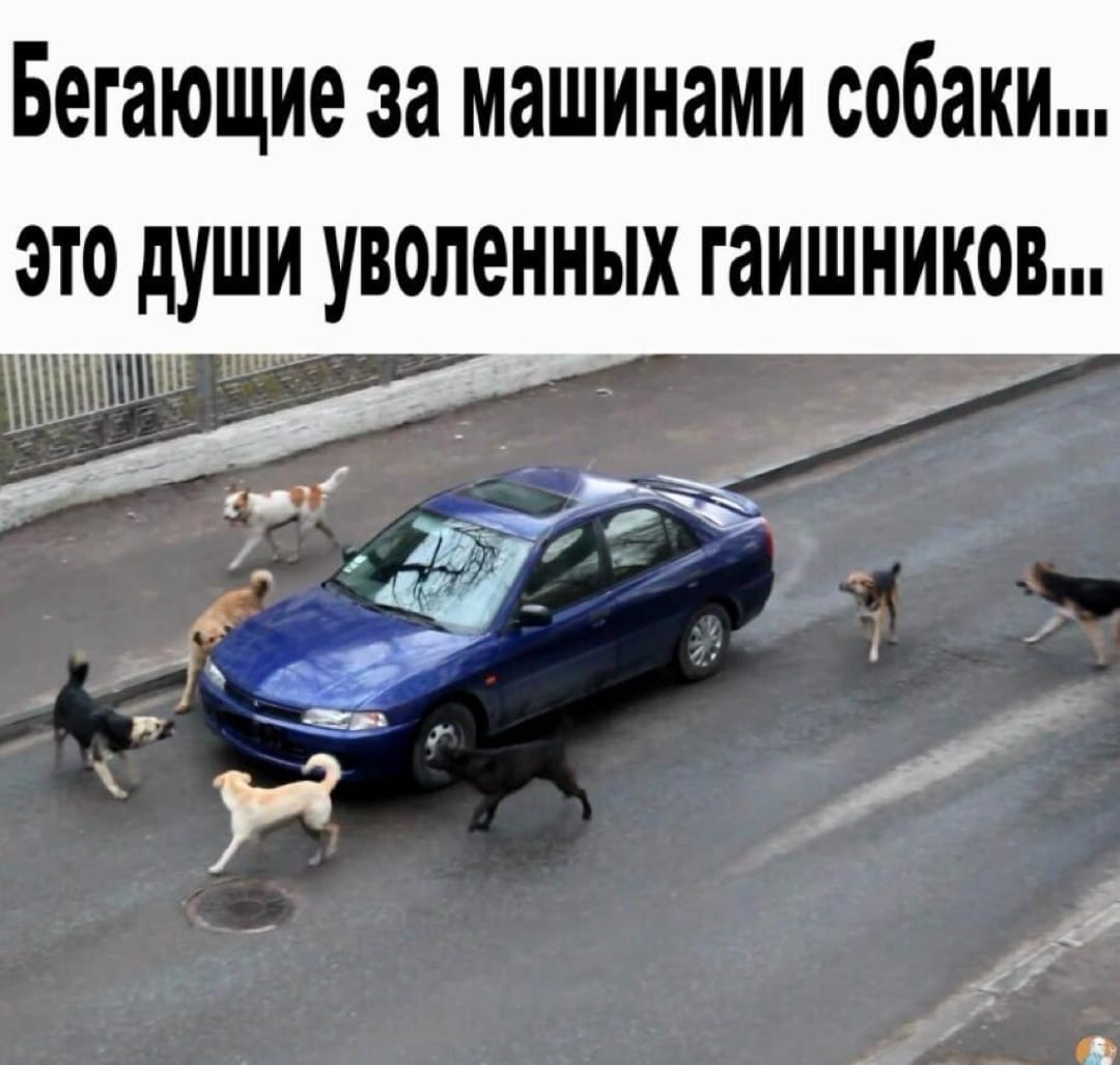 Свежие анекдоты и шутки, которые понравятся всем Свежие анекдоты и шутки, которые понравятся всем