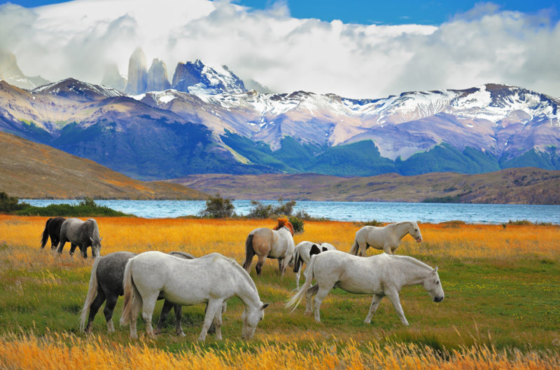 Красота нашей планеты: национальные парки Южной Америки