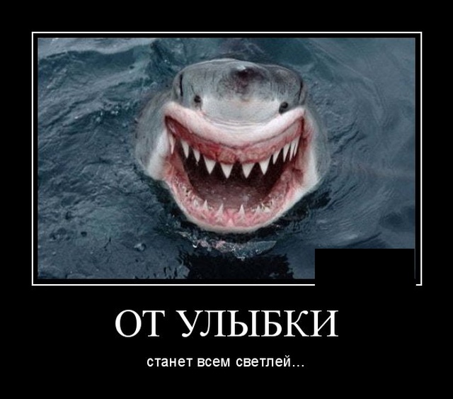 А вот видишь ту девушку, завтра я на ней женюсь.. анекдоты,веселье,демотиваторы,приколы,смех,юмор