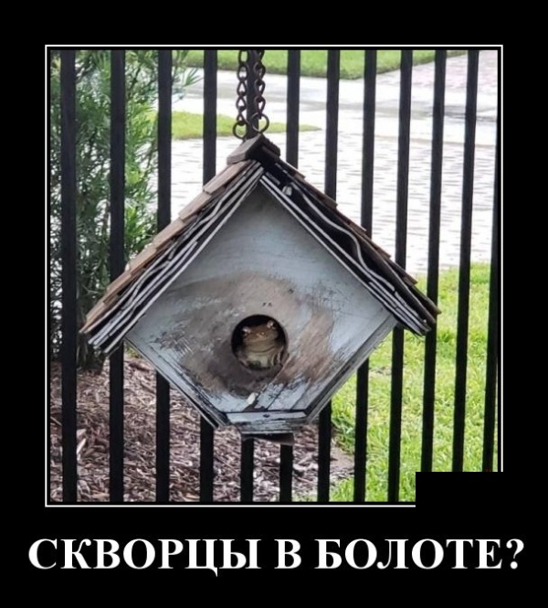 Демотиваторы - Улыбайтесь, господа, улыбайтесь! Демотиваторы - Улыбайтесь, господа, улыбайтесь!