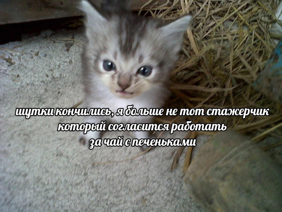 Смешные картинки про работу и пятидневка Смешные картинки про работу и пятидневка