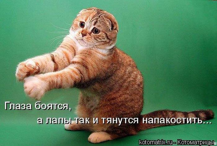 Мысли вслух :)