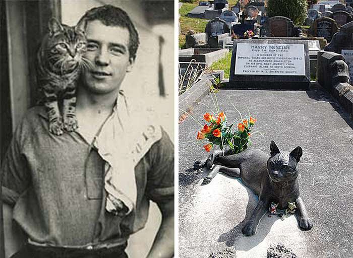 13 фактов об Антарктиде 13 фактов об Антарктиде Антарктида