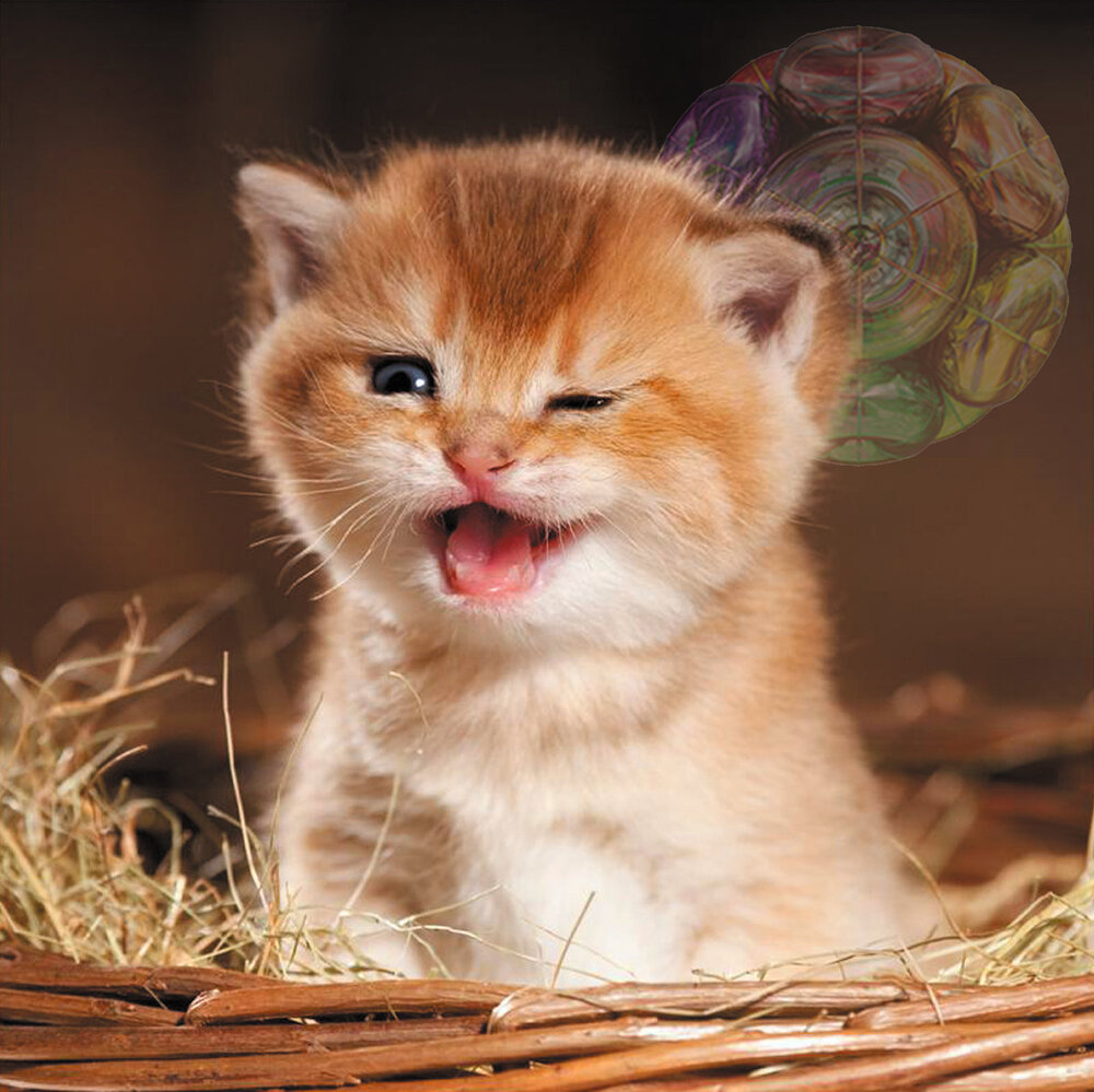 ХОРОШЕЕ НАСТРОЕНИЕ_верософия