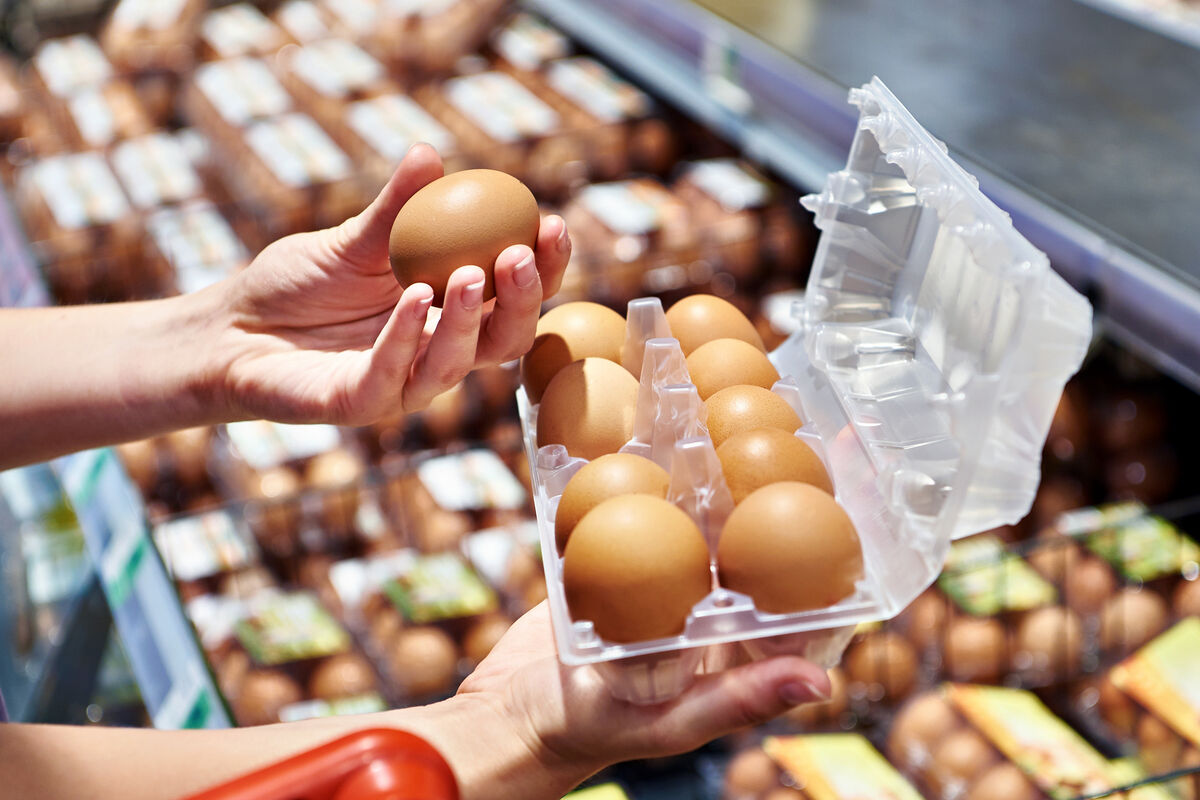Эксперт ретейла Карпов: если не будет птичьего гриппа, яйца продолжат дешеветь