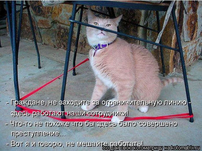 Мысли вслух :)