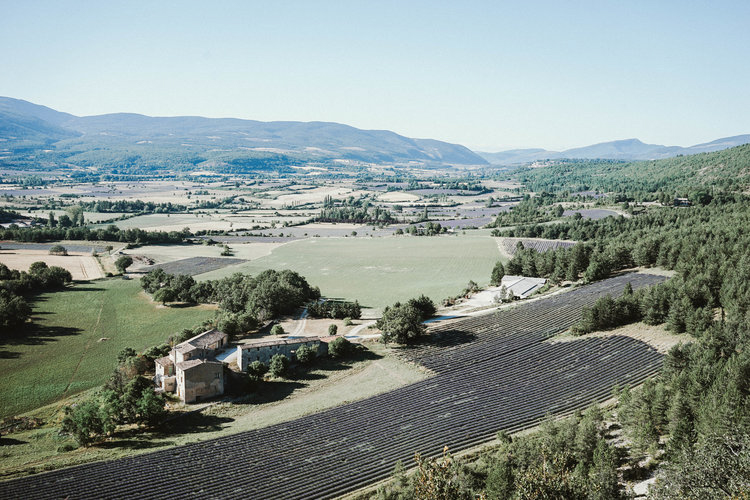 Прованс: 7 жемчужин лавандового края Прованс: 7 жемчужин лавандового края города,заграница,путешествие,туризм