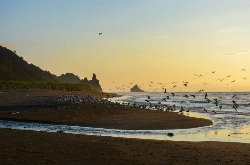 В посольстве РФ обещают изучить ситуацию с россиянином, переплывшим с Курил в Японию «за политическим убежищем»