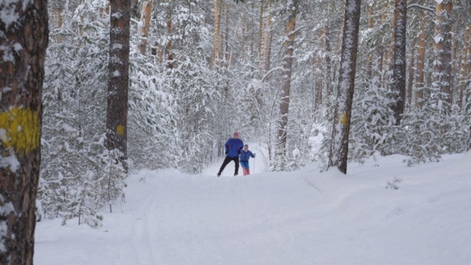 В лесу / Фото: amic.ru