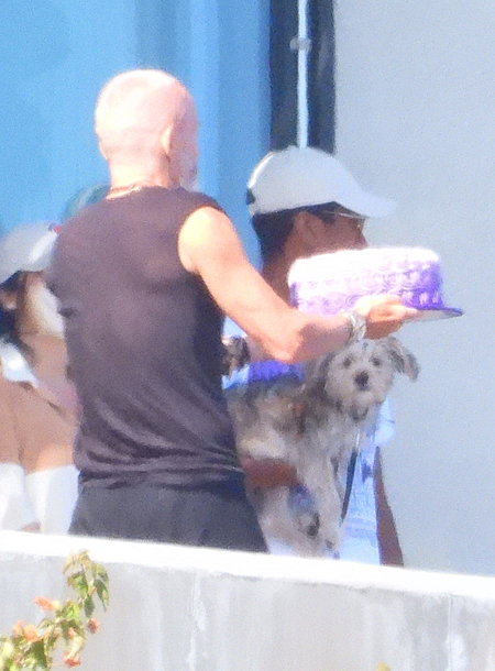 Наоми Кэмпбелл отметила 50-летие с Синди Кроуфорд, Леонардо Ди Каприо и другими звездами Наоми Кэмпбелл отметила 50-летие с Синди Кроуфорд, Леонардо Ди Каприо и другими звездами Звезды,Новости о звездах