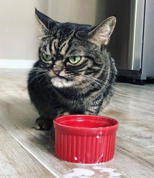 Позитивные моменты дня Позитивные моменты дня