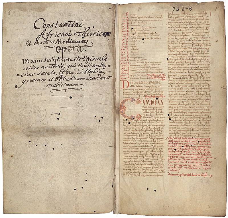 Пособия по исцелению: от «Папируса Эберса» и «Изборника Святослава» до «Салернского кодекса здоровья» история