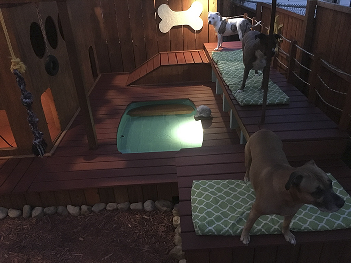 Американец построил игровую площадку с бассейном для своих собак