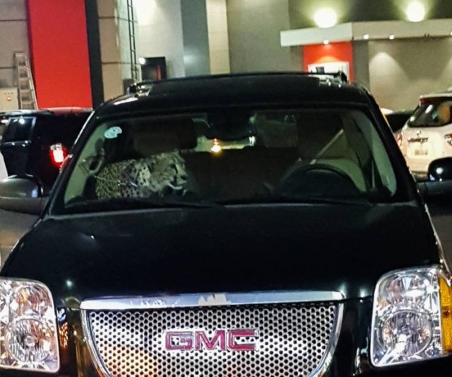 Подборка прикольных картинок Подборка прикольных картинок смешные картинки