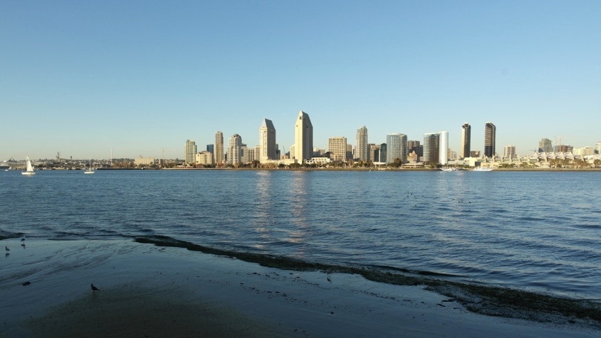 Утечка на нефтепроводе в Калифорнии навредила местной фауне