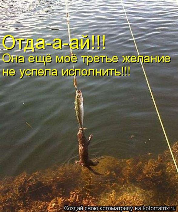 Мысли вслух :)
