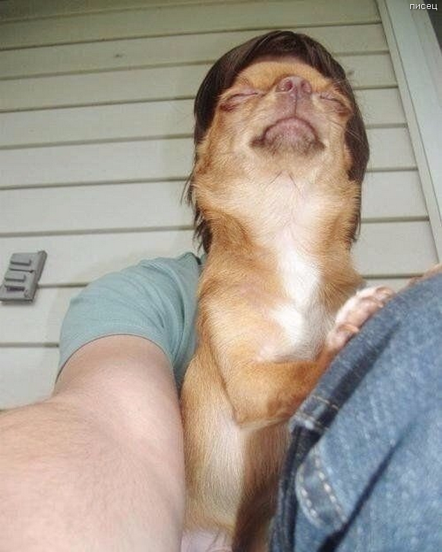 Офигенный обман зрения. Суперхит! Офигенный обман зрения. Суперхит! смешные картинки