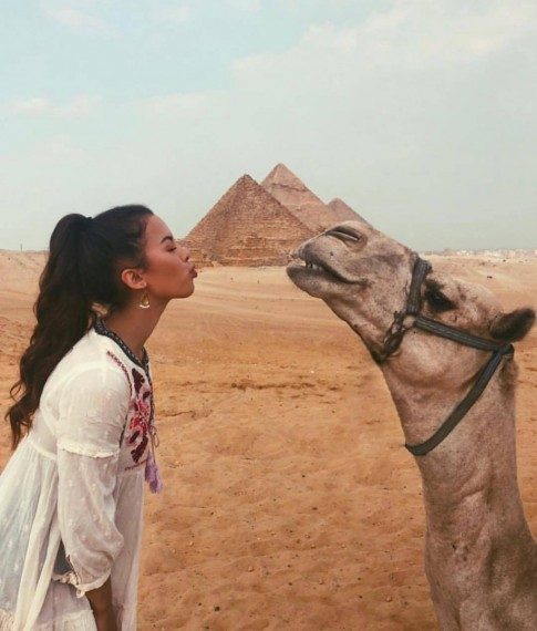 Позитивные моменты дня Позитивные моменты дня