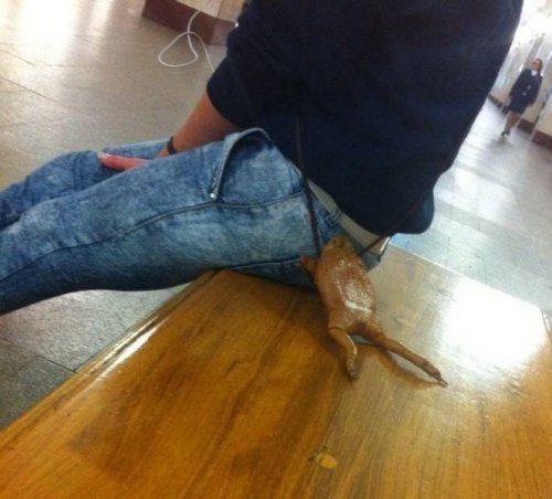 Какой народ, такая и мода Какой народ, такая и мода