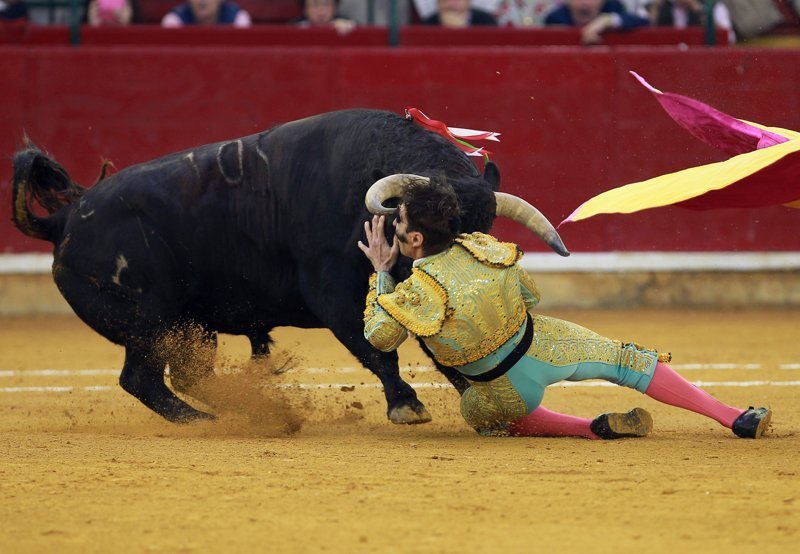 Хуан уже лишился одного глаза в 2011 году, когда бык проломил ему голову бык, в мире, животные, испания, коррида, матадор, скальп, травма