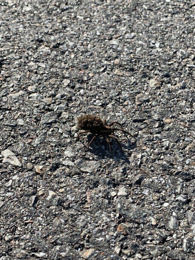 27 фотографий необычных вещей и редких явлений, которые вы увидите впервые 27 фотографий необычных вещей и редких явлений, которые вы увидите впервые интересное,мир,познавательно,удивительно