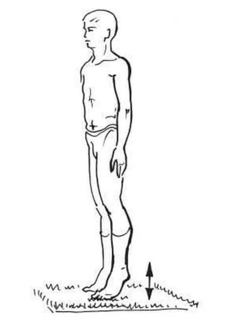 Гимнастика фараонов: упражнения, которые стоит делать сразу после пробуждения здоровье,упражнения