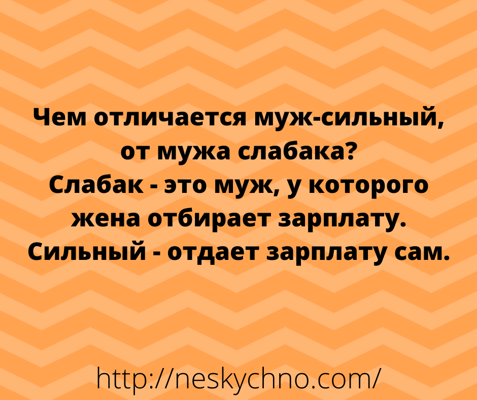 Отборные шутки — новая порция юмора Отборные шутки — новая порция юмора