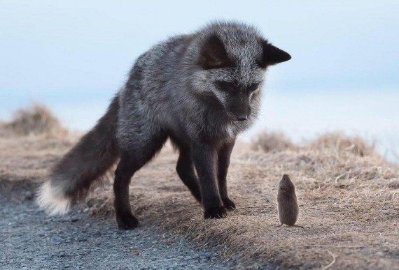 Позитивные моменты дня Позитивные моменты дня