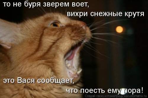 Новая котоматрица 