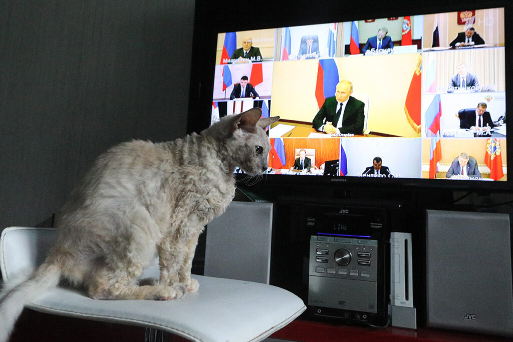 Латвия заблокировала вещание российского Первого канала