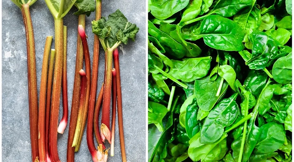 Крапива, шпинат и еще 3 самые полезные летние травы здоровье и питание,полезные продукты