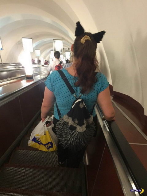 Модники в метро веселые картинки,курьезы,мода и стиль,модники в метро