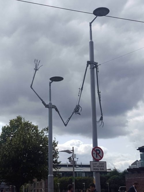 Свежая подборка приколов Свежая подборка приколов